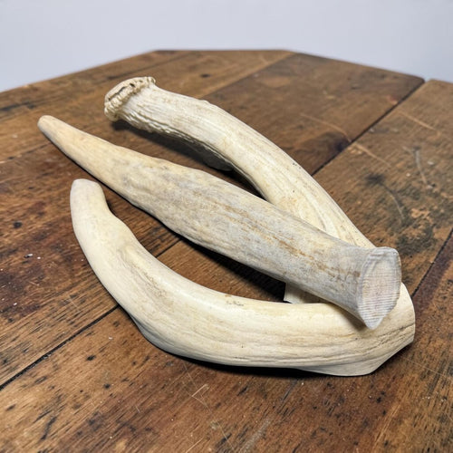 Three natural whitetail deer antler dog chews