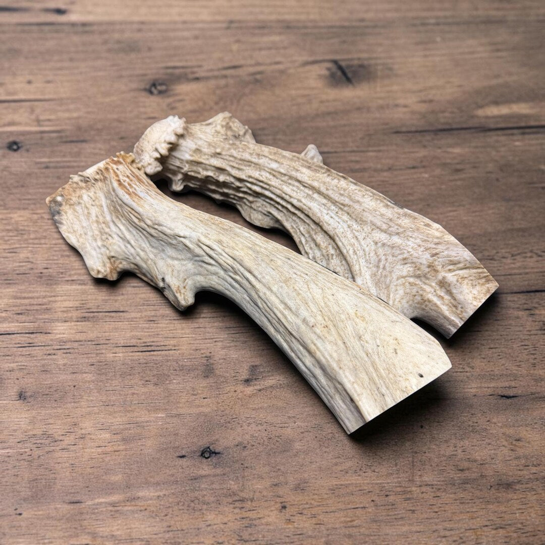 Two dense whitetail antler chews