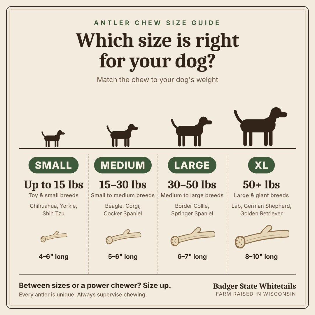 Antler chew size guide: Small, Medium, Large and XL by dog weight