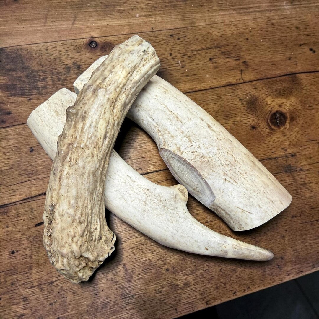Close-up of cut antler chews showing the interior