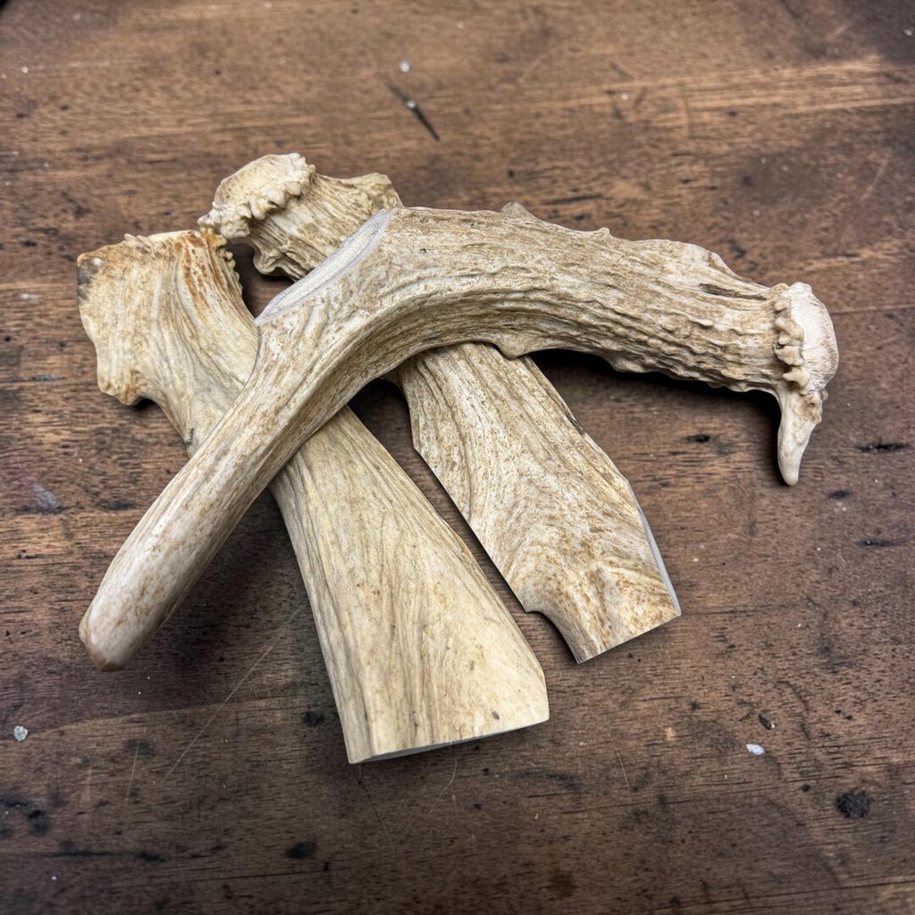 Three antler chew segments with cut ends