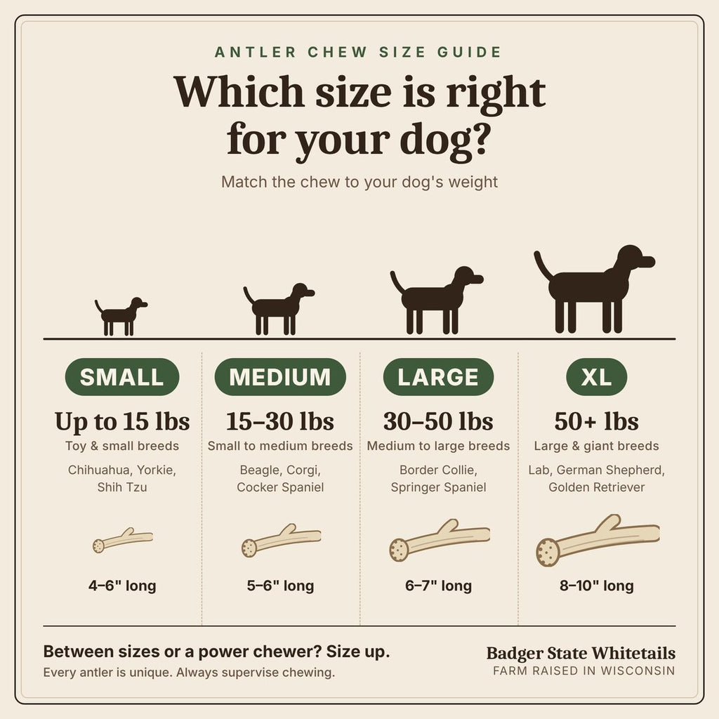 Antler chew size guide: Small, Medium, Large and XL by dog weight