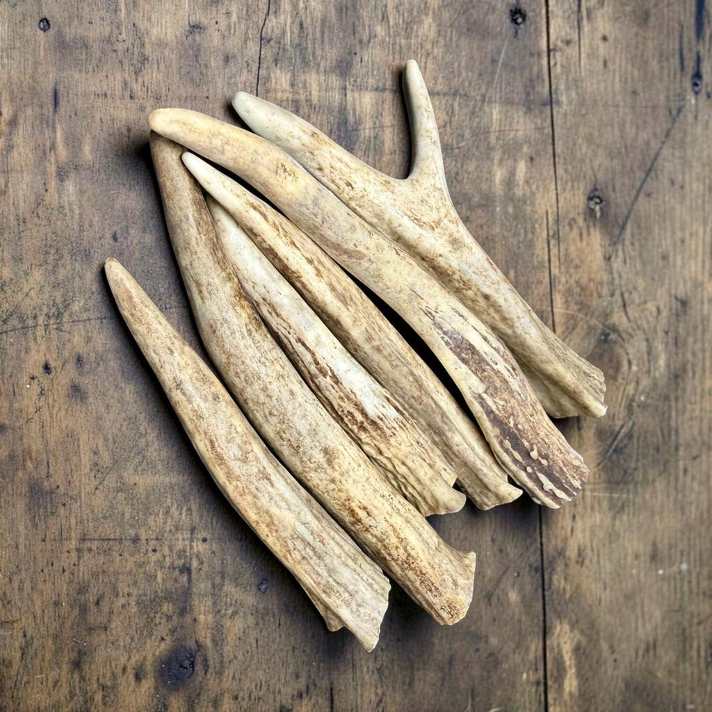 Four whitetail antler chews